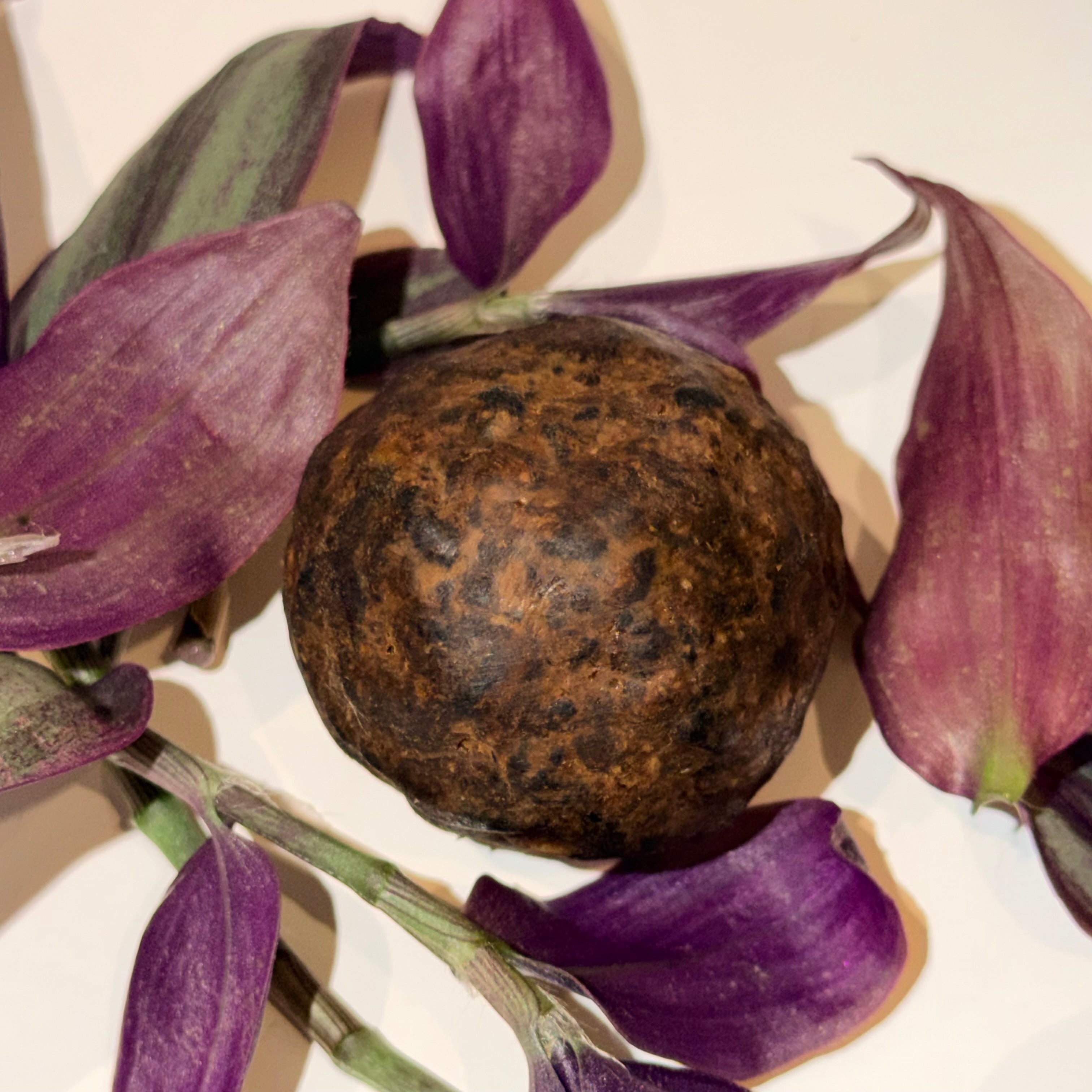 Soma Raw Soap — mineral botanical cleanser